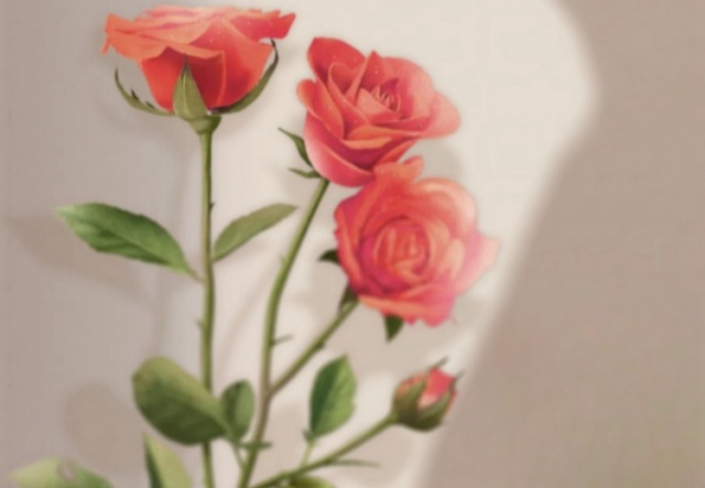 祝天下女神們節(jié)日快樂?。?！